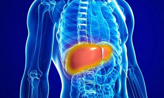 Συκώτι: Ύπουλες ασθένειες που ξεκινάνε από έναν μικρό πόνο